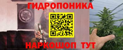 дурь Будённовск
