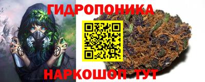 дурь Будённовск