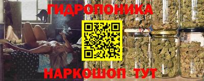 дурь Будённовск